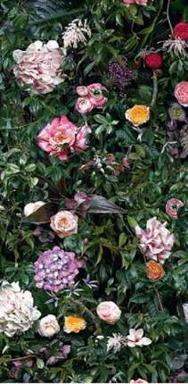 41Зеро42 Paper41 Lux William