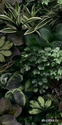 41Zero42 Paper41 Pro Jane C