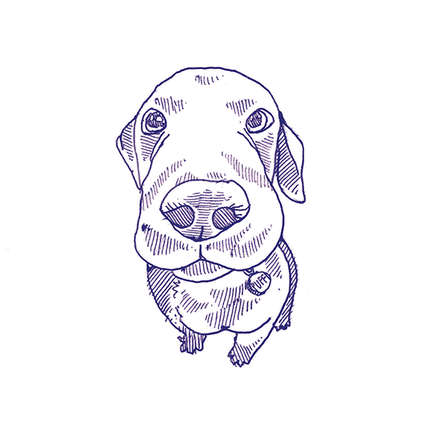 41Зеро42 Stories Eddie Lux 10x10