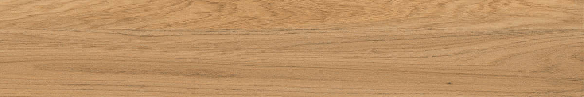 Wood Beige Matt 20x120 (1200x200)