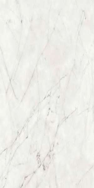 Carrara Ant. 3D Rett 60?120 (600x1200)