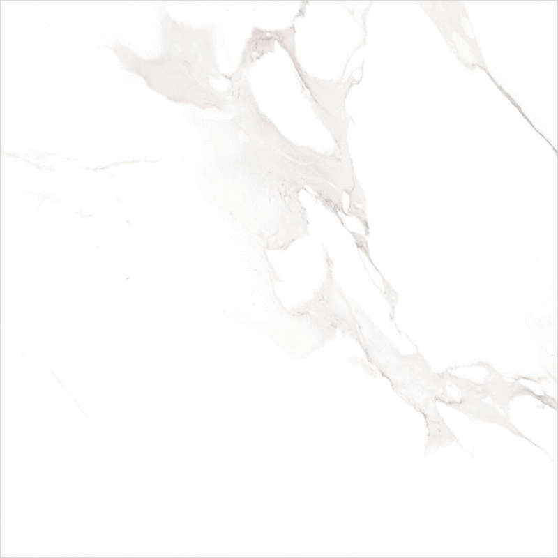 White (800x800)