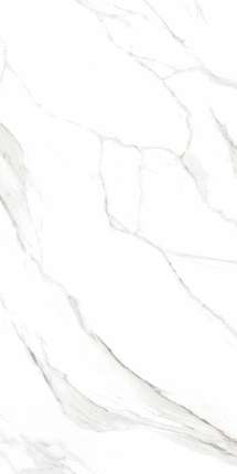 ЭйВиЭс Arctic White  Полированный 60x120