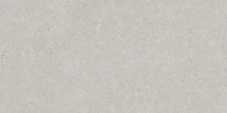 AVS Velluto Grey Moon Light Stone 600x1200