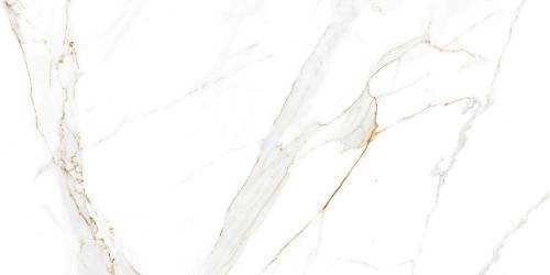Абсолют Грес Regal Carrara Gloss 120x60