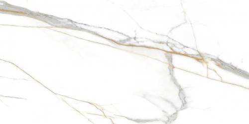 Прогрес Roma Grigio Gloss 120x60