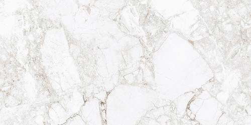 Прогрес Rossalia Natural Gloss 120x60