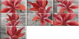 Mix Flowers RBW (150x75)