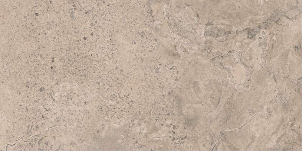 Beige Ant R60x120 (1200x600)