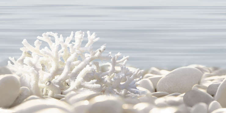 Альма Керамика Del mare Коралл