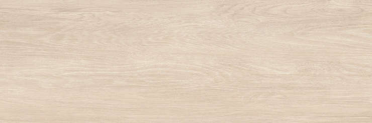 Альма Керамика Patio 04R Матовый 30x90