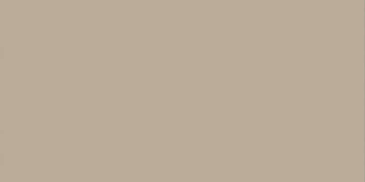 Альма Керамика Spector 08R Матовый 60x120