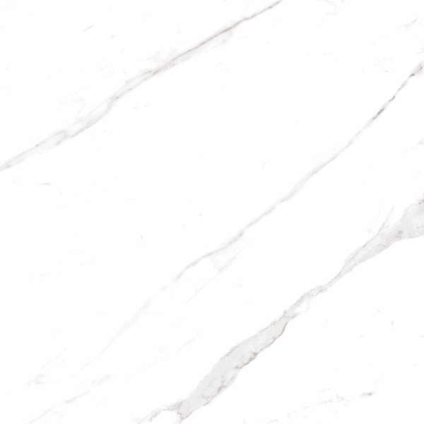 60x60 Polished (600x600)