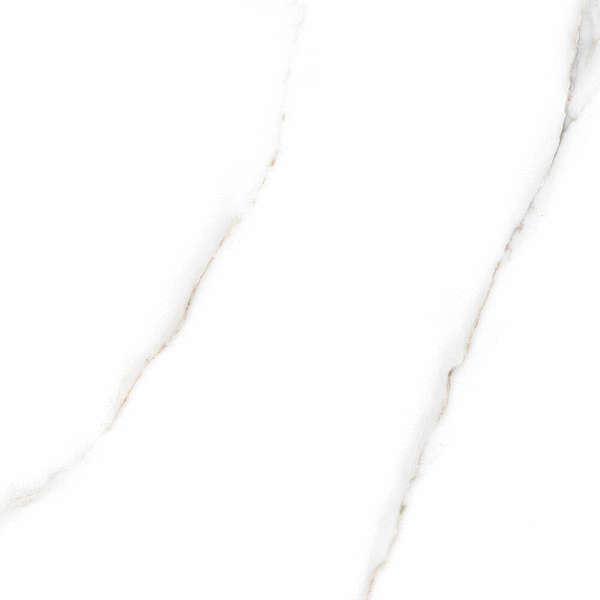 60x60 White Polished (600x600)