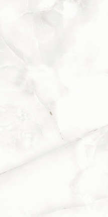 A-Ceramica Floria Onyx 60x120 Silver Polished 9мм