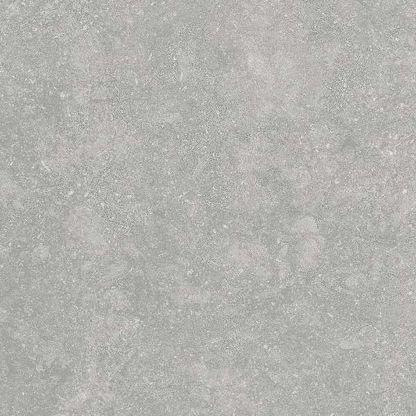 Fossil Gris 2 cm 60x60 (600x600)