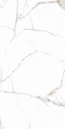 Альпас Premium Marble Rockford Satin 60x120