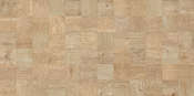 Regard Beige (500x249)