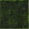 Emerald 10x10 (100x100)