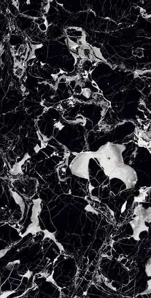 Аркадия Керамика Elegant Nero 60x120 High Gloss