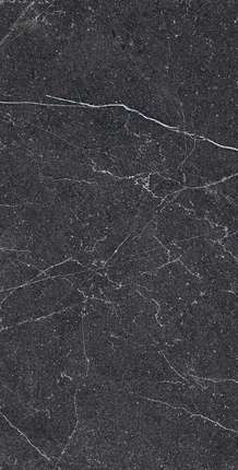 Аркадия Керамика Equistone Charcol 60x120 Rotto Glossy Ink