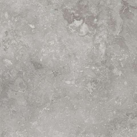 Gris 60x60 (600x600)