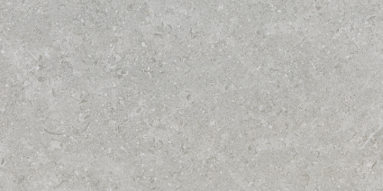 Greige RC 30x60 (600x300)