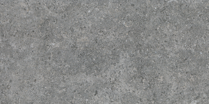 Grey RC 30x60 (600x300)