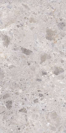 Аргента Petra Grey Matt. Rect. 60x120