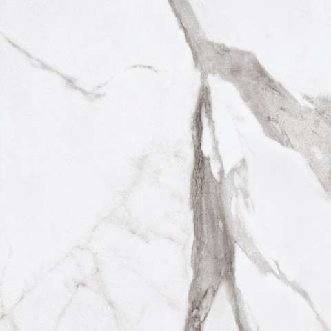 White Statuario Lap 60X60 (600x600)