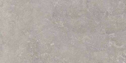 Bruges Grey Ant R 60x120 (1200x600)