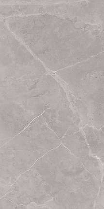 Арт Керамик Berrys Grey High gloss 60x120