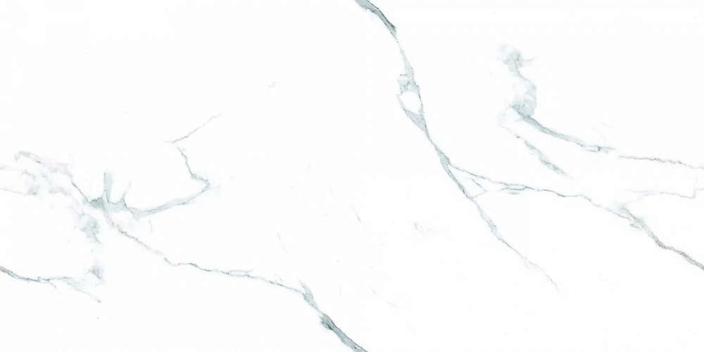 White 60x120 Matt (1200x600)