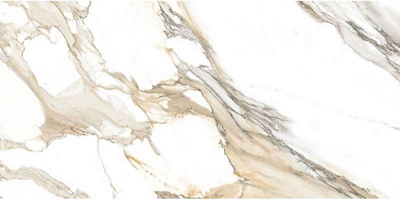 Calacatta Porto Gold Glossy (1200x600)