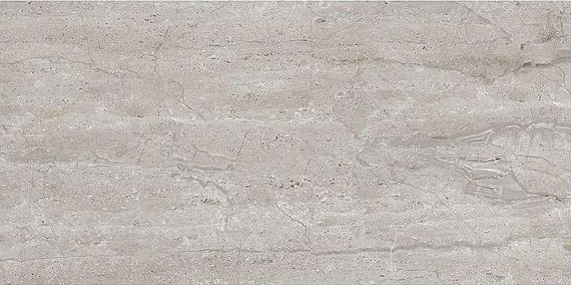 Dianox Grey (1200x600)