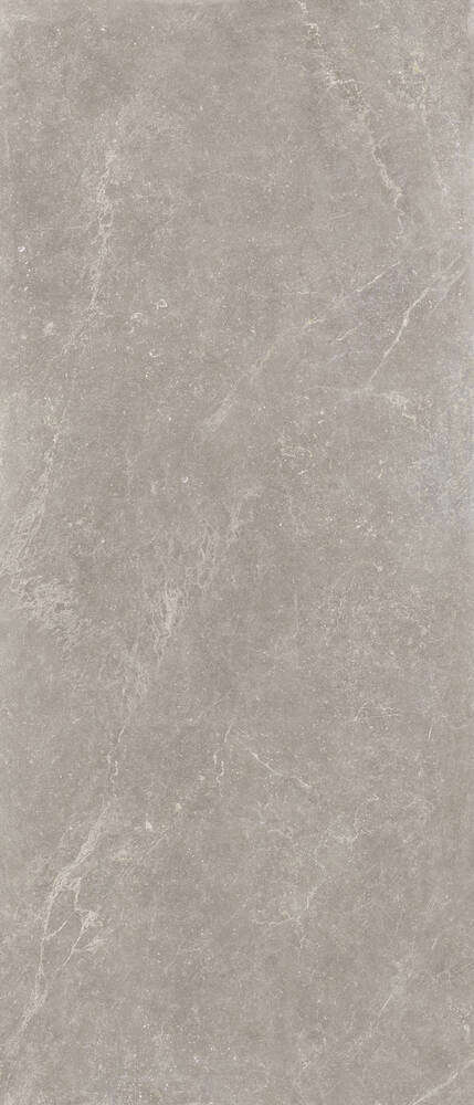 Taupe Mate 280x120 (1200x2800)