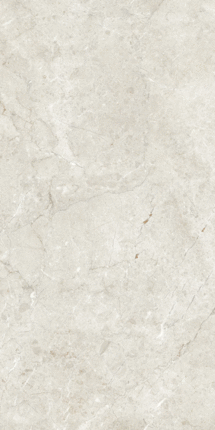 Арткер Marble Palermo Silver Matt Glr 9 mm 120x60