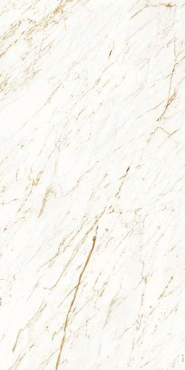 Nero White Carving 120x60 (600x1200)