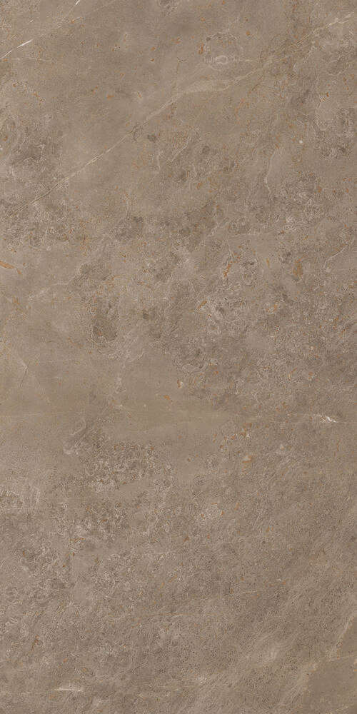 Luish Brown 120x60 (600x1200)