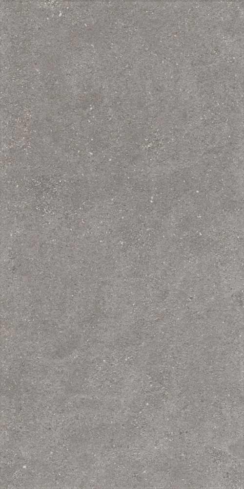 1224 Керамогранит Artcer Graniti Grey Matt Ghr 120x60 (600x1200)
