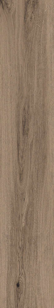 Modena Natural Mate 120x20 (200x1200)