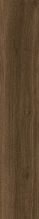 Artcer Wood Parma Brown Matt 120x20