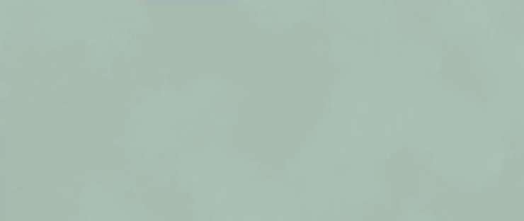 Атлас Конкорд (Италия) Boost Color Jade 50x120