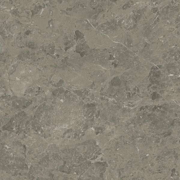 Grigio Elegante 60x60 (600x600)