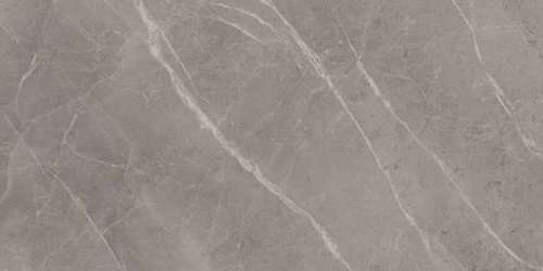 Grey Fleury 60x120 (1200x600)