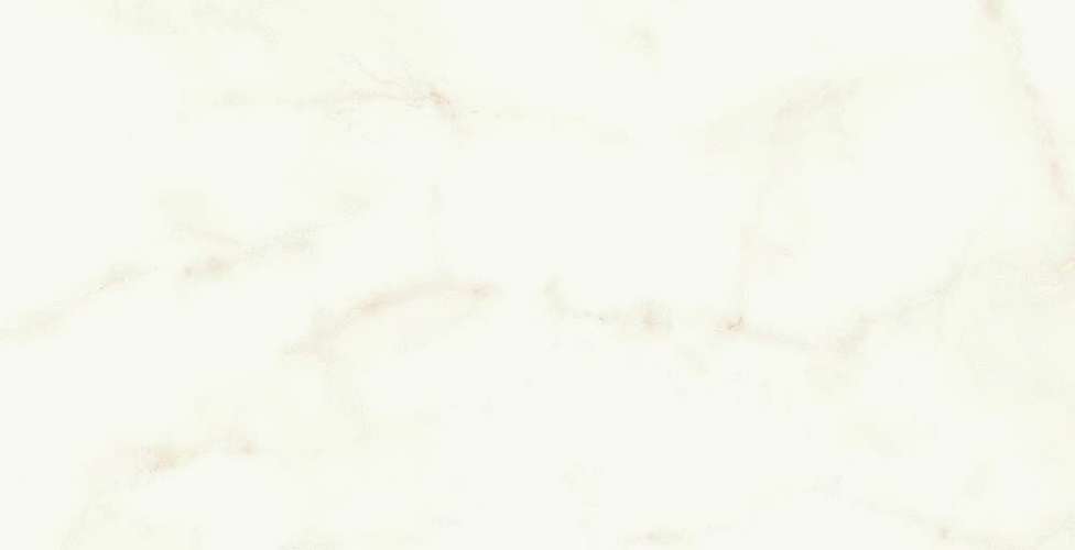 Calacatta Delicato 50x120 Silk (1200x500)