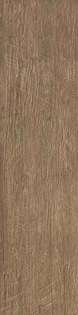 Brown Chestnut Strutturato (225x900)