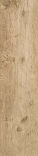 Golden Oak 22 (225x900)