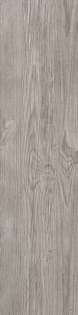 Silver Fir 22 (225x900)