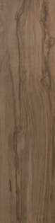 Noce Hickory 225 (225x900)